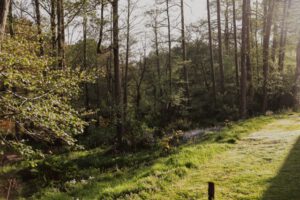 Firesyde retreat venue in the Surrey countryside