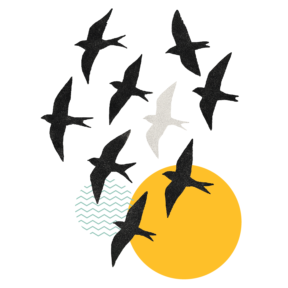 A flock of swifts in flight, rising past a yellow sun